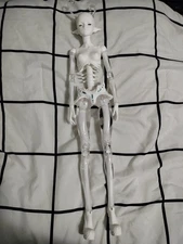 Dream Valley Bone Butterfly Resin 1/4 Ball Jointed Doll BJD, Blank, Bone White