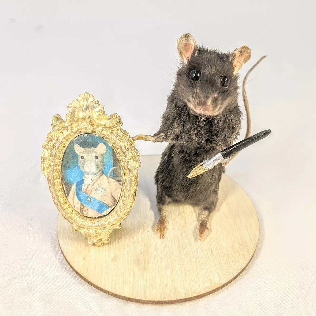 Mouse order cheap