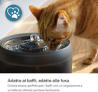 Foto 12 di 12