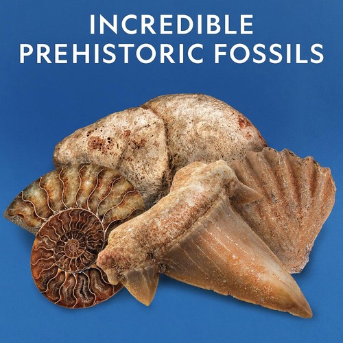 National Geographic Collezione Rock 300 Pezzi con Fossili Veri e Libro per Bambini - Foto 8 di 8