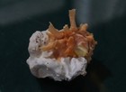 Picture 1 of 8