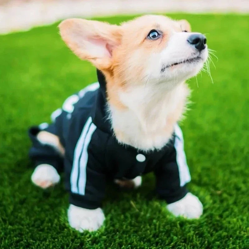 Acogedor y cálido mono para perro para mascotas pequeñas y medianas | Ropa de invierno para cachorro Foto 2 de 4