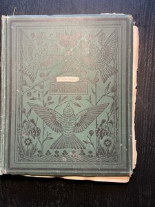 Victorian Scrapbook | eBay UK