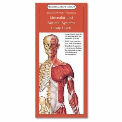 Illustrated Pocket Anatomy: - Wall Chart, by Anatomical Chart Company - New