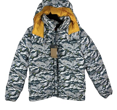 The North Face Liberty Sierra Mountain Point Down Hooded Jacket