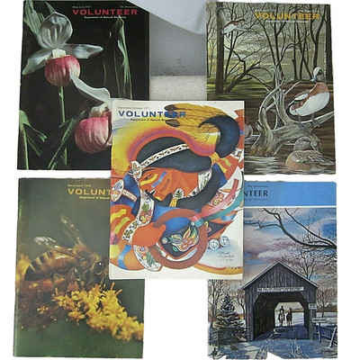 Five Vintage Minnesota Conservation Volunteer Magazines 1971 72 73 bees, prints