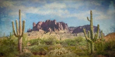 Large Desert Landscape Print on canvas 20' x 10' 