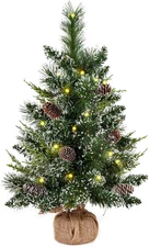 Deeinglif 2Ft Mini Christmas Trees 24" with LED Lights and Pine,Tabletop Branche