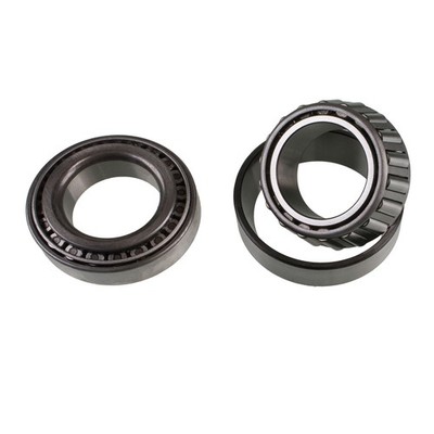DIFFERENTIAL BEARING AND RACE KIT - Carrier/Case Bearings and Races - DANA 44