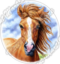 Chestnut Mare Horse Wildlife Animal Horses Car Bumper Vinyl Sticker Decal 4.6