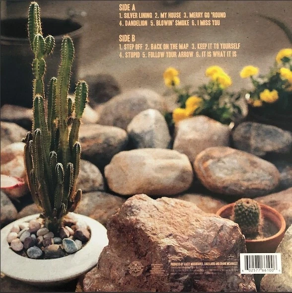 KACEY MUSGRAVES Same Trailer Different Park LP Urban Outfitters COLOR confetti - Image 2 of 3