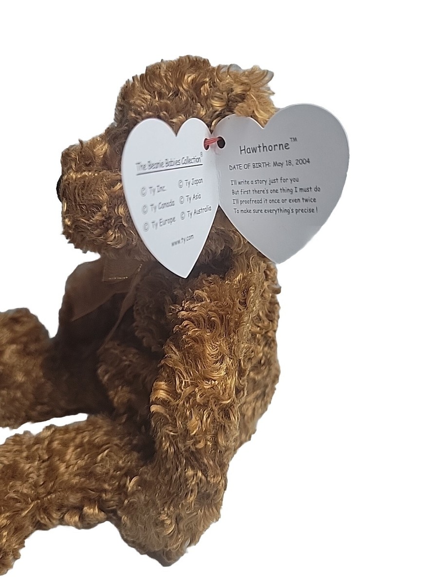 Hawthorne 2004 Ty Beanie Babie 8in Curly Brown Plush Bear