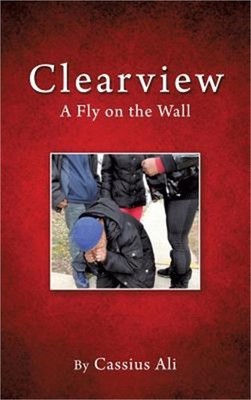 Clearview (Hardback or Cased Book)