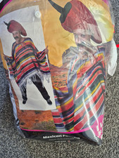 Mexican Poncho Fancy Dress Costume, Multi One Size, Polyester with Moustache