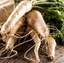 Hollow Crown Parsley Parsnip Seeds NON GMO  * 125 Day Harvest *