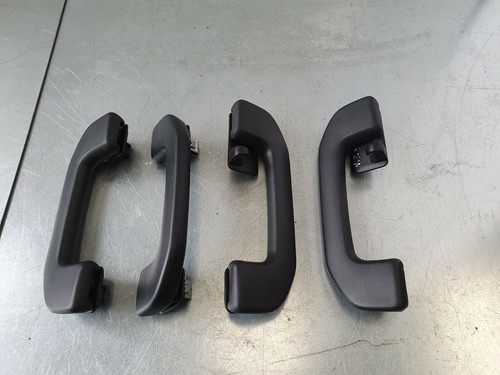 Mercedes A Class W176 AMG 2014-2018 Interior Roof Front & Rear Grab Handles - 第 1/11 張圖片