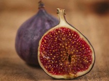 ( 1 ) BEERS BLACK - FIG CUTTINGS FOR SALE - COLD HARDY