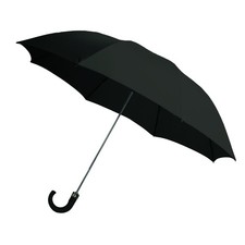 Rainbrella 2-Fold Auto Open Umbrella with Storage Sleeve and 42", Black