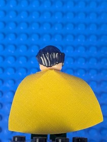 Lego Super Heroes: Batman I: Robin bat009 Set 7783