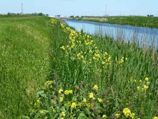 Photo 12x8 The Sixteen Foot Drain near Horseway Better weather than my las c2013
