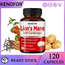 Organic Mushroom Capsules - Lion's Mane Ganoderma lucidum Brain Memory Health