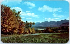 Postcard - Nature Lovers' Utopia, Dexter Beauty Scene