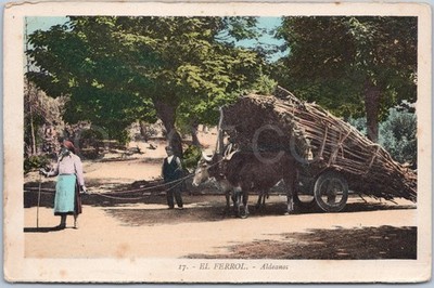 Vintage Postkarte Aldeanos Ochsenwagen Menschen El Ferrol A Coruna Spanien