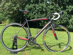 specialized 56cm frame