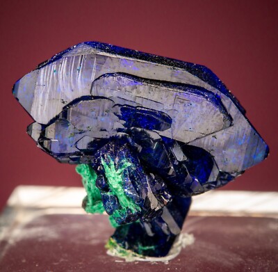 Azurite  Milpillas Mine, Santa Cruz Municipality, Sonora, Mexico 1906-N257