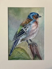 Original Watercolor Painting Signed  5"x7" Matted Bird wildlife art Nature