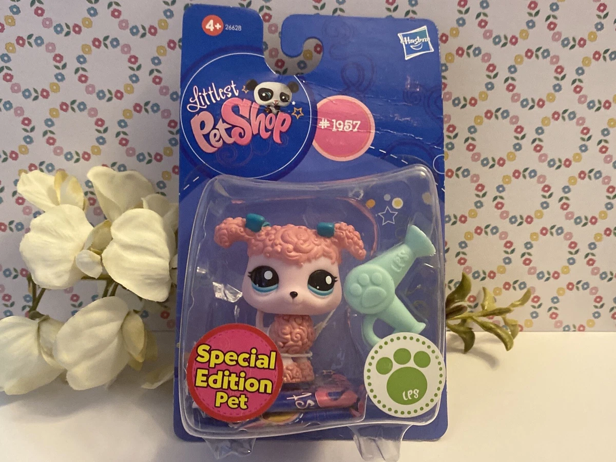 Aqua pet shop 2025