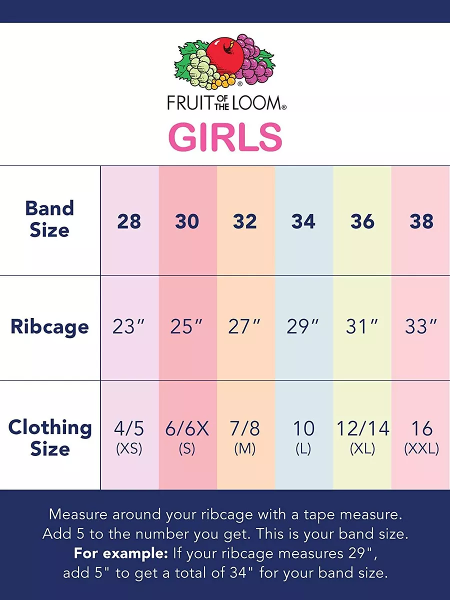Fruit of the loom sports bra size chart hot sale