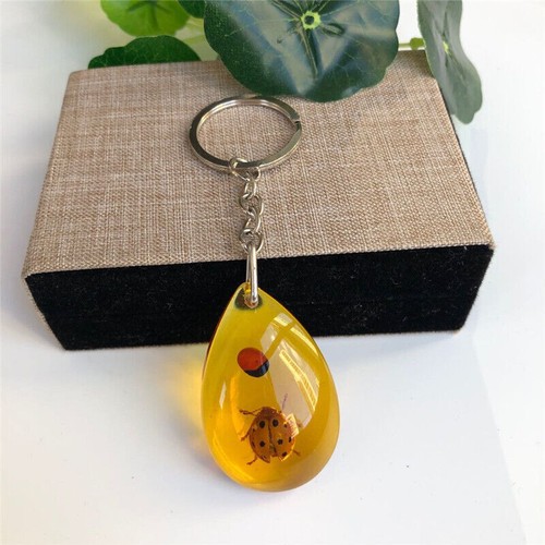 True insect specimen amber keychain car keychain backpack pendant small gift - Picture 7 of 33