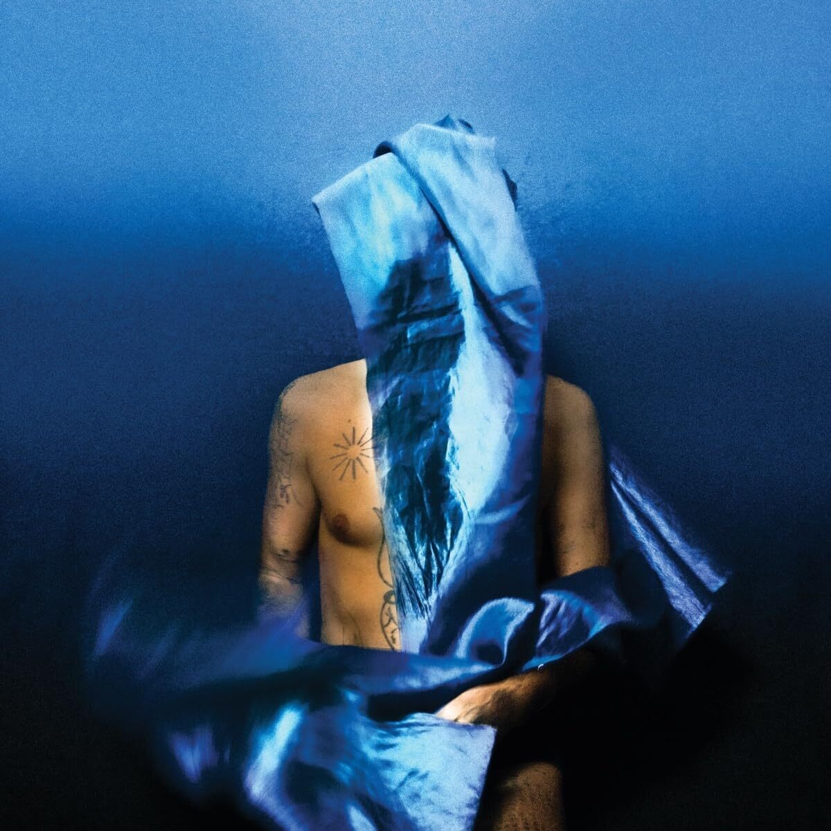 Devendra Banhart Flying Wig (Vinyl LP)
