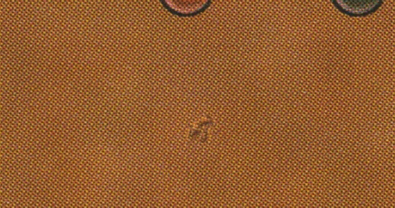 Silver Signed Italian Visions LP Legends Artist NeNe Thomas MTG Magic Misprint! - Image 3 of 3