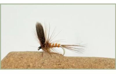 BARBLESS Trockenforellenfliegen, 6er Pack Orange Spinner, Größenwahl, beste Trockenfliege