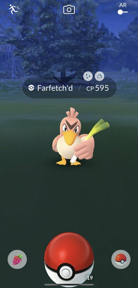 Shiny Farfetch'd : r/PokemonGoMystic