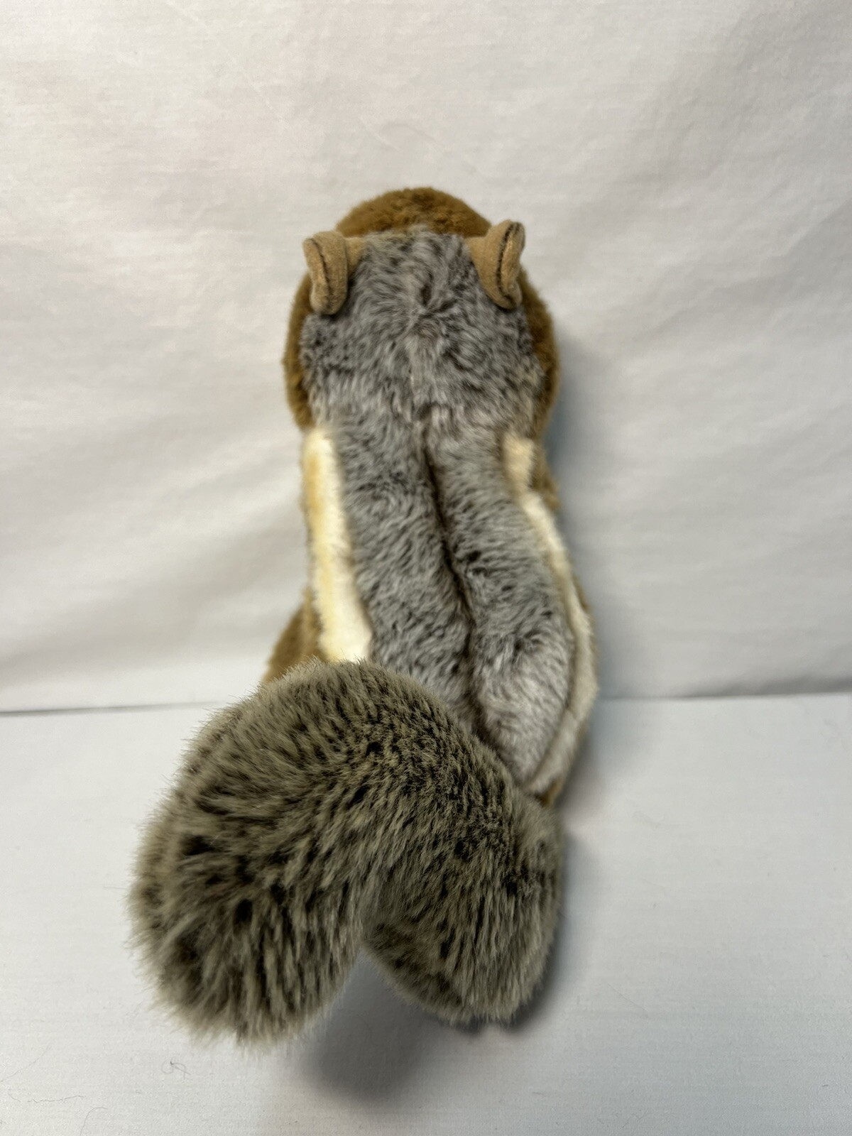 Picture 4 of 14