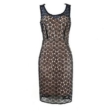 Ann Taylor Womens Sleeveless Nude Black Lace Overlay Sheath Dress Size 4P NWT