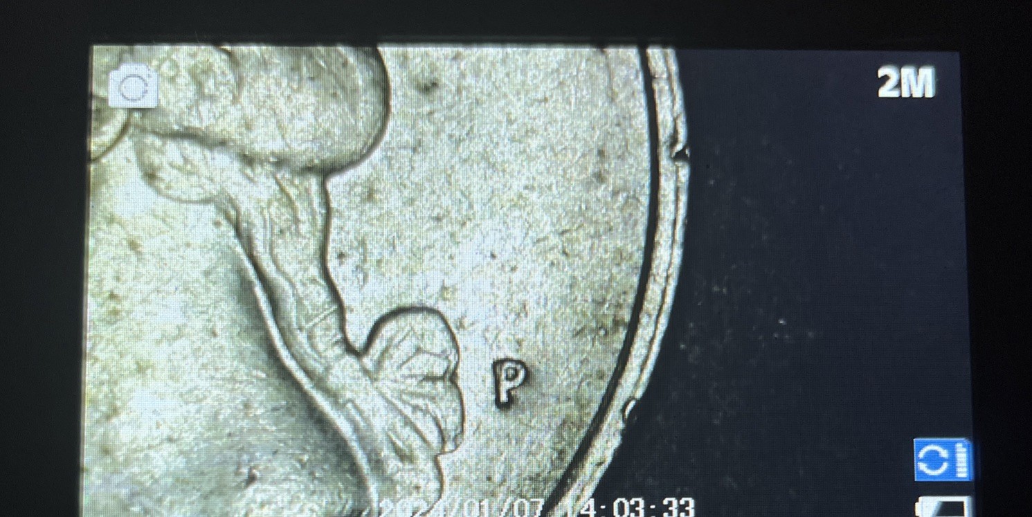 Picture 7 of 8