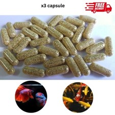 Moina Macrocopa Cysts Eggs Live Feed Betta Tropical Killfish Guppy Discus 3 Caps