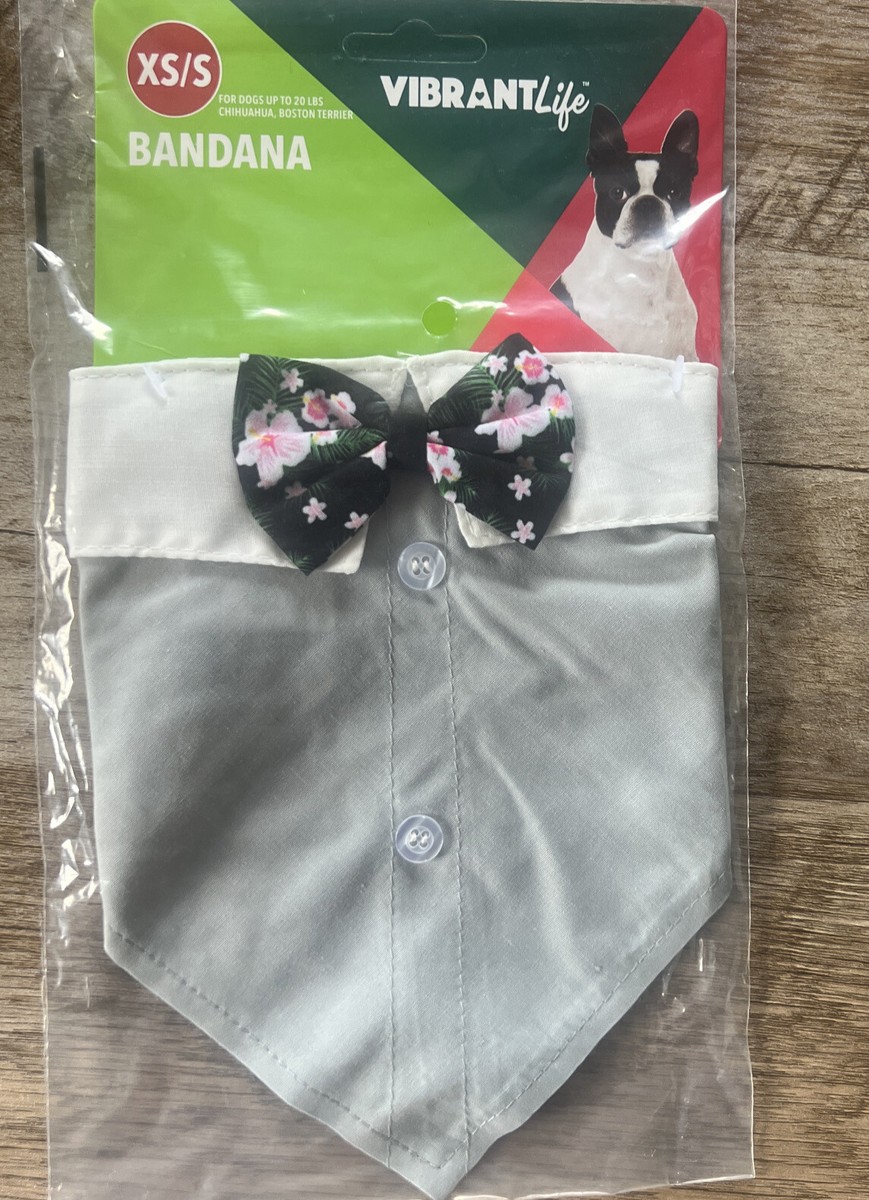 bow tie for chihuahua