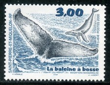 TIMBRE SAINT PIERRE ET MIQUELON NEUF N° 707 ** FAUNE / CETACES