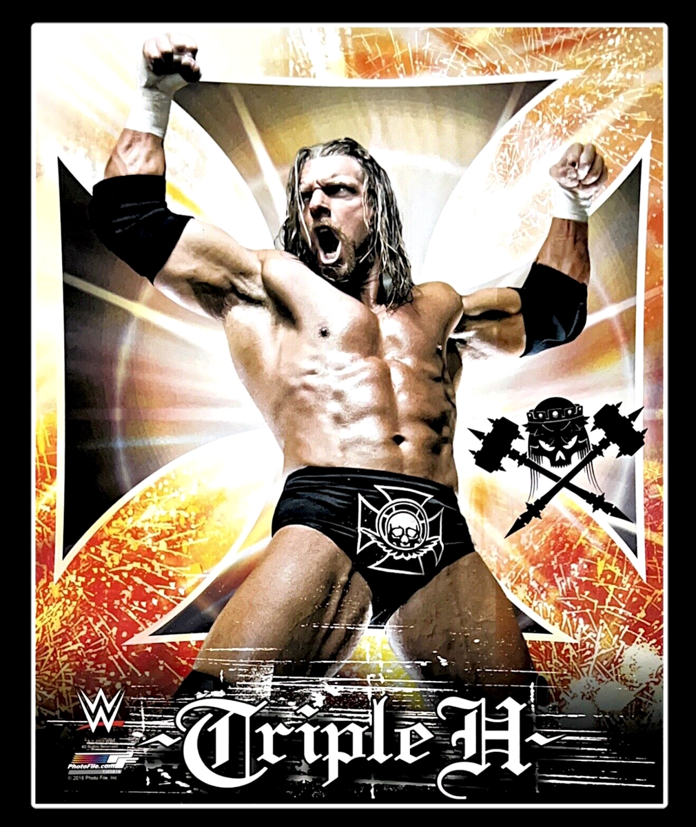 WWE TRIPLE H OFFICIAL LICENSED 8X10 WRESTLING PHOTO