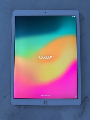 Apple iPad Pro 2. Gen 512GB 12,9 Zoll