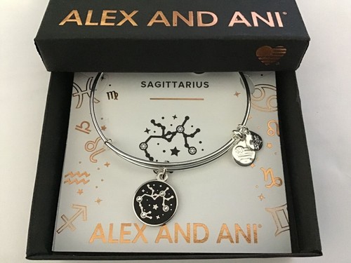 Alex and Ani COLOR INFUSION, SAGITTARIUS EWB, SS Bracelet New In The Box - 第 1/4 張圖片