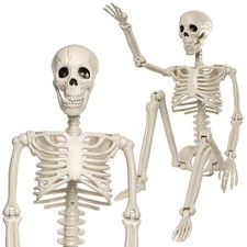 2PCS 3FT 36" Halloween Skeleton Full Body Posable Plastic Human Bones Prop