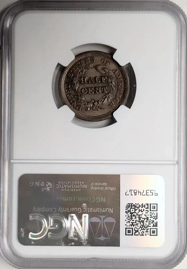 1851 Half Cent 1/2c NGC MS-65 BN CAC C-1 - Image 2 of 2