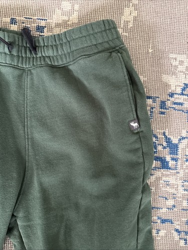 Abercrombie Kids Icon Fleece Joggers Green Sz 15/16 - Picture 2 of 8