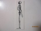 Printing Letterpress Printers Type Block Human Skeleton Print Cut — photo 2